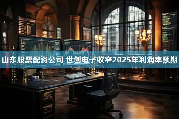 山东股票配资公司 世创电子收窄2025年利润率预期