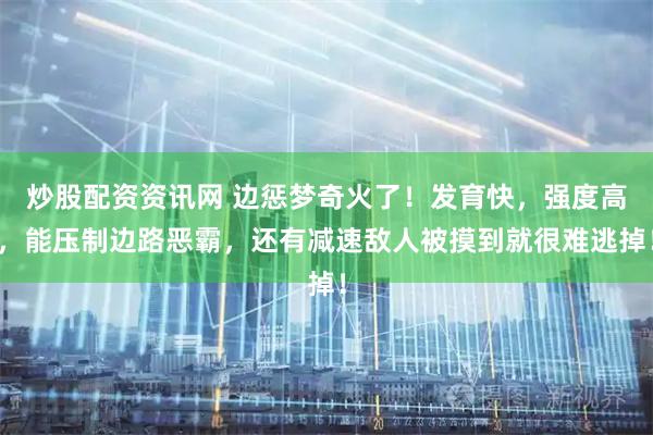 炒股配资资讯网 边惩梦奇火了！发育快，强度高，能压制边路恶霸，还有减速敌人被摸到就很难逃掉！