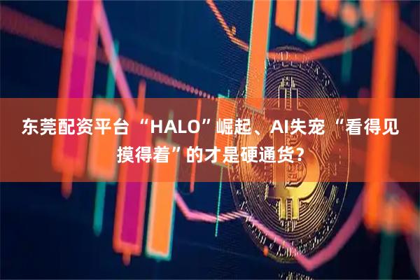 东莞配资平台 “HALO”崛起、AI失宠 “看得见摸得着”的才是硬通货？