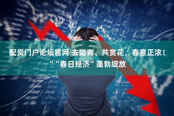 配资门户论坛官网 去踏青、共赏花，春意正浓！““春日经济”蓬勃绽放